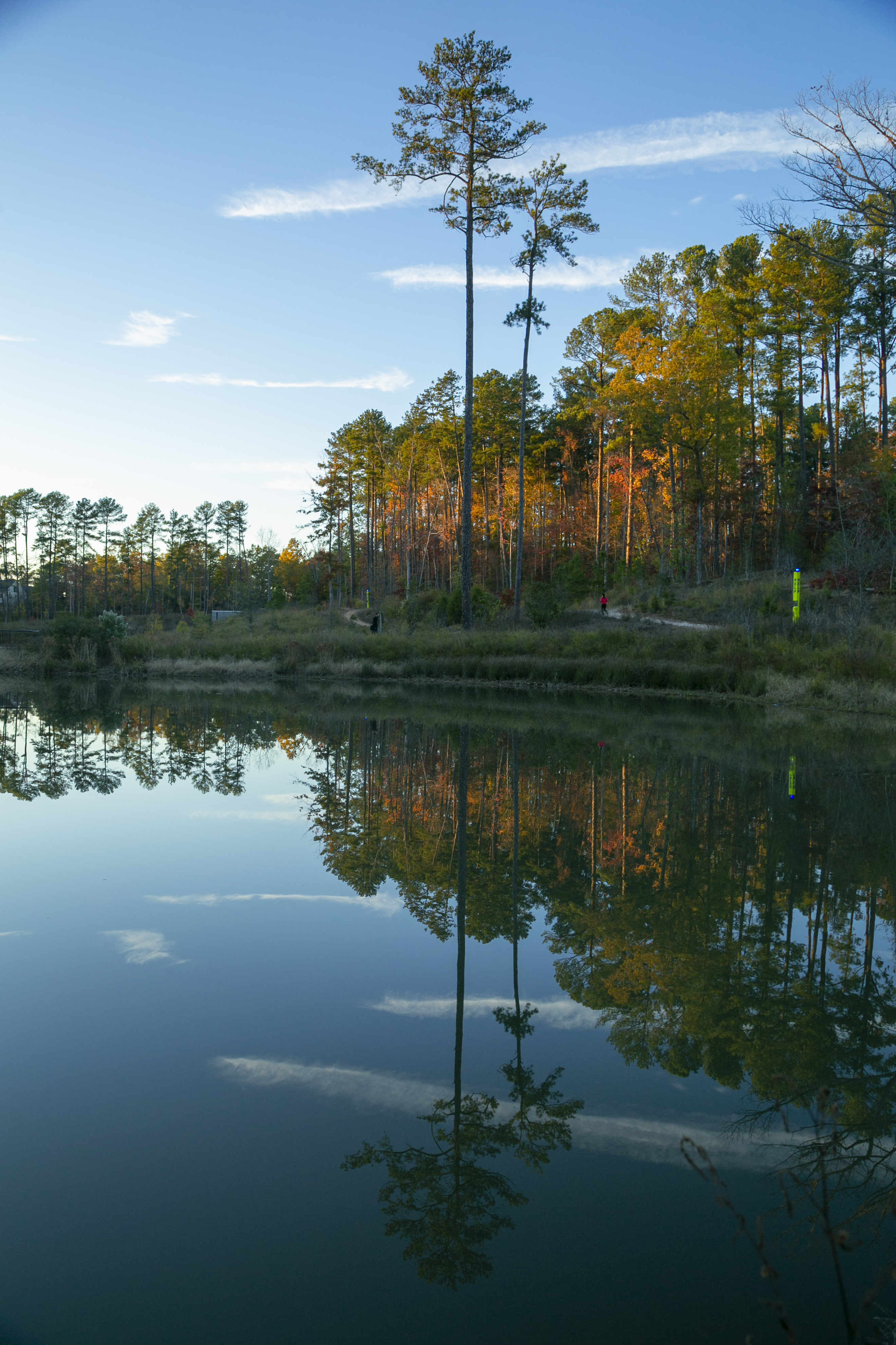 Duke Pond