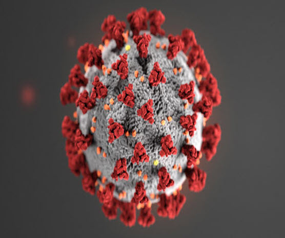 Coronavirus